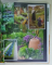 CULTIVATING GARDEN STYLE by ROCHELLE GREAYER , 2014