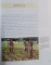 CULTURES OF THE WORLD PUERTO RICO , 1995