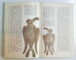 DACIANS , ROMANS , ROMANIANS by STEFAN PASCU , ROMANIA , PAGES OF HISTORY