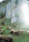 DAS EWIGE UND FASZINIERENDE RUMANIEN , 1997
