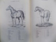 De L'Exterieur du Cheval, Paris 1890