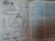DESEN ARTISTIC de C. RADINSCHI , 1978