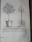 DEUTSCHES MAGAZIN FUR GARTEN UND BLUMENKUNDE- STUTTGARD  1848