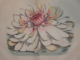 DEUTSCHES MAGAZIN FUR GARTEN UND BLUMENKUNDE- STUTTGARD  1852