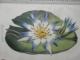 DEUTSCHES MAGAZIN FUR GARTEN UND BLUMENKUNDE- STUTTGARD  1852