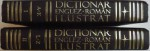 DICTIONAR ENGLEZ-ROMAN ILUSTRAT de IRINA PANOVF , VOL I-II , EDITIA A 2 A REV , 2011