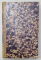 DICTIONNAIRE DE LA CONVERSATION ET DE LA LECTURE , TOME XLIV , 1838