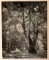 DIE RUMANISCHE MALEREI IM XX JAHRHUNDERT von PETRU COMARNESCU , 1956