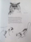 DRAWING ANIMALS de  VICTOR AMBRUS , WITH ZOOLOGICAL NOTES by MARK AMBRUS , 1993