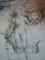 DRAWINGS OF ALBRECHT DURER de HEINRICH WOLFFLIN