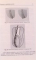 ELEMENTE DE ENDODONTIE PRACTICA de VIRGINIA VARLAN SI CONSTANTIN VARLAN , 1999