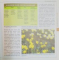 ENCICLOPEDIA FLORILOR , CALENDAR PRACTIC DE GRADINARIT , MARTIE / APRILIE GRADINA PELUZA de MICHELE LAMONTAGNE , CHRISTIAN PESSEY , 2006