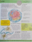 ENCICLOPEDIA ILUSTRATTA A COPIILOR : ATLASUL LUMII , 2011