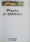 ENCICLOPEDIA PENTRU TINERI : PLANTE SI ANIMALE , 1998