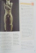 ENCYCLOPEDIA OF ART FOR YOUNG PEOPLE : ANCIENT AND CLASSICAL ART by IAIN ZACZEK , VOL I , 2008