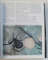 ENCYCLOPEDIA OF THE ANIMAL KINGDOM by MAURICE BURTON and ROBERT BURTON , 1990