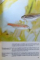 ENCYCLOPEDIE DES POISSONS D ' AQUARIUM , 1986