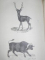 ENCYCLOPEDIE D'HISTOIRE NATURELLE OU TRAITE COMPLET DE CETTE SCIENCE. PACHYDERMES, RUMINANTS, EDENTES, CETACES, MARSUPIAUX ET MONOTREMES par LE D' CHENU,  PARIS