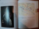 ENIGMA CAVALERILOR TEMPLIERI , ISTORIE SI LEGATURI MISTICE de MARILYN HOPKINS , 2008