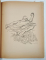 EUGEN JEBELEANU , POEME DIN ADY ENDRE , cu 10 desene si coperta de FLORICA CORDESCU , 1948 , CU DEDICATIA  AUTORULUI *