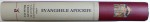 EVANGHELII APOCRIFE  - EDITIE ROMANEASCA SI TRADUCERI de CRISTIAN BADILITA , 2012
