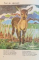FEREASTRA CU VIETUITOARE , CARTE DE COLORAT de GEORGE SAVIN , ILUSTRATII DE GH. ANTON , 1978