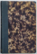 FIGURI LITERARE CONTIMPURANE de N. PETRASCU, 1893