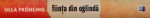 FIINTA DIN OGLINDA, POVESTEA UNUI CAZ REAL de ULLA FROHLING, 2008