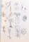FLORA ILUSTRATA A ROMANIEI de VASILE CIOCIRLAN , 1988