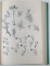 FLORA ILUSTRATA A ROMANIEI de VASILE CIOCIRLAN , VOLUMELE I - II , 1988 -1990
