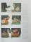 FLOWER ARRANGING , SUSAN CONDER , SUE PHILLIPS , PAMELLA WESTLAND , 1991