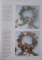 FLOWER PROJECTS , FOR THE HOME by JOANNA SHEEN , 1994