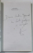 FLUIERATURI IN BISERICA de MIRCEA DINESCU , 30 DE ANI DE POEZIE , 1998 , DEDICATIE *