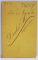 FOTOGRAF DRESCHER M. , TANARA CU COC SI ROCHIE NEAGRA , FOTOGRAFIE C.D.V. , SFARSITUL SEC. XIX