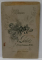 FOTOGRAF F. KILD , GALATI , TANAR CU MUSTATA , FOTOGRAFIE C.D.V. , CCA. 1900