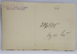 FOTOGRAF G. HEITER , BORSEC , STANCA PRINTRE BRAZI , FOTOGRAFIE TIP CARTE POSTALA , INTERBELICA
