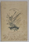 FOTOGRAF L. WAISMAN , BUCURESTI, DOAMNA PE FOTOLIU , FOTOGRAFIE CABINET , 1902