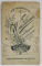 FOTOGRAF L. WAISMAN , BUCURESTI , TANAR PREOT , FOTOGRAFIE C.D.V. , CCA. 1900