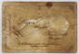 FOTOGRAF LEOPOLD ADLER , BRASOV , DOMN CU FAVORITI IN STUDIO , FOTOGRAFIE CABINET , A DOUA JUMATATE A SEC. XIX