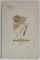 FOTOGRAF S. JACOVITZ , CRAIOVA , ALFRED MARCU, DIN CRAIOVA , COPIL , FOTOGRAFIE CABINET , CCA. 1900