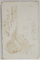 FOTOGRAF S. KORN , BUCURESTI, TANARA  IN STUDIO , FOTOGRAFIE C.D.V. , MAI , 1897