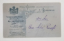 FOTOGRAF SPIRESCU , BUCURESTI , COPIL CU PALARIE DE PAIE , FOTOGRAFIE TIP C.D.V. , DATATA 1899