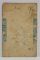 FOTOGRAFIE C.D.V. , DOAMNA CU ROCHIE NEAGRA , SFARSITUL SEC. XIX