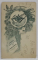 FOTOGRAFIE C.D.V. , STUDIO J. LANGHANS, PRAGA , DOMN CU BARBA , SFARSITUL SEC. XIX