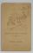 FOTOGRAFIE C.D.V. , STUDIO ROBERT KLEMENT , VIENA , DOAMNA CU CATEL , SFARSITUL SEC. XIX