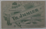 FOTOGRAFIE C.D.V. , STUDIO TH. JMMLER , BREGENZ. , SFARSITUL SEC. XIX