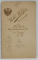FOTOGRAFIE C.D.V. , STUDIO WILH. HELFER , VIENA , DOMN CU PALARIE SI COSTUM , SFARSITUL SEC. XIX