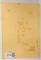 FUNCTIUNEA ECONOMICA A STATULUI CONTEMPORAN , SINTEZA ORGANIZARII POLITICO-ECONOMICE A FASCISMULUI SI NATIONAL-SOCIALISMULUI de VASILE MARGHESCU , 1941 *COPERTA SPATE PREZINTA PETE