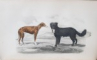 GALERIE D'HISTOIRE NATURELLE, TIREE DES OEUVRES COMPLETES DE BUFFON par M. SAINTE-BEUVE - PARIS, 1879