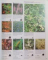 GARDENERS'ENCYCLOPEDIA OF PLANTS AND FLOWERS , EDITOR IN CHIEF CHRISTOPHER BRICKELL , 1989
